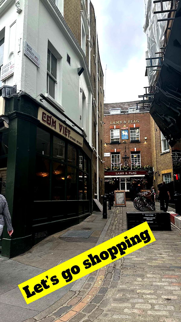 mira.0004 image ~ Altpins