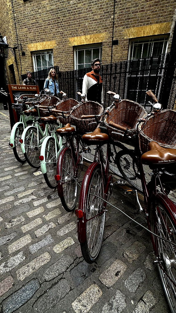 mira.0004 image ~ Altpins