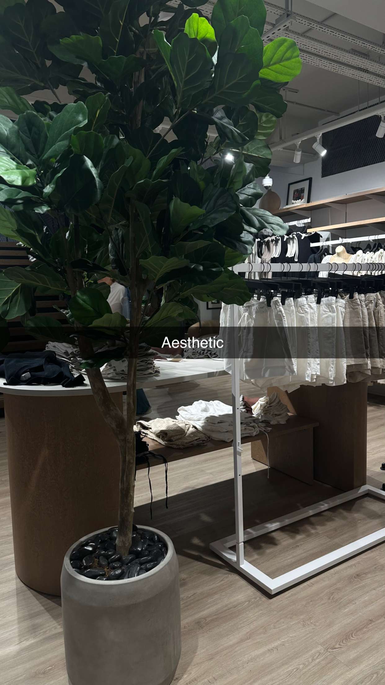 mira.0004 snapchat image archive image