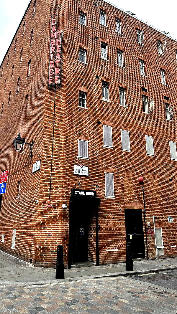 mira.0004 image ~ Altpins