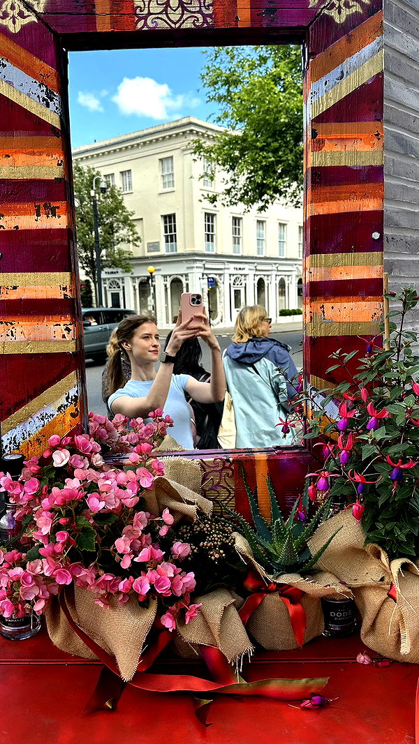 mira.0004 image ~ Altpins