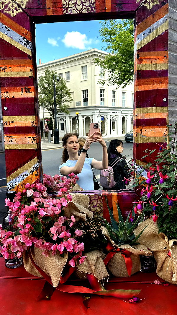 mira.0004 image ~ Altpins