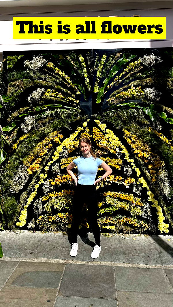 mira.0004 image ~ Altpins