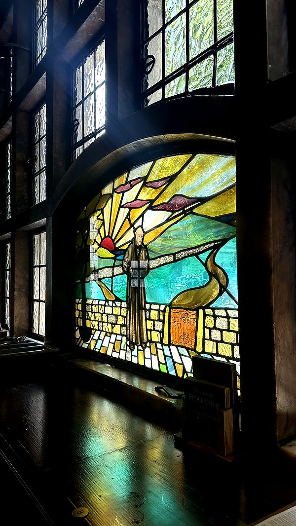 mira.0004 image ~ Altpins