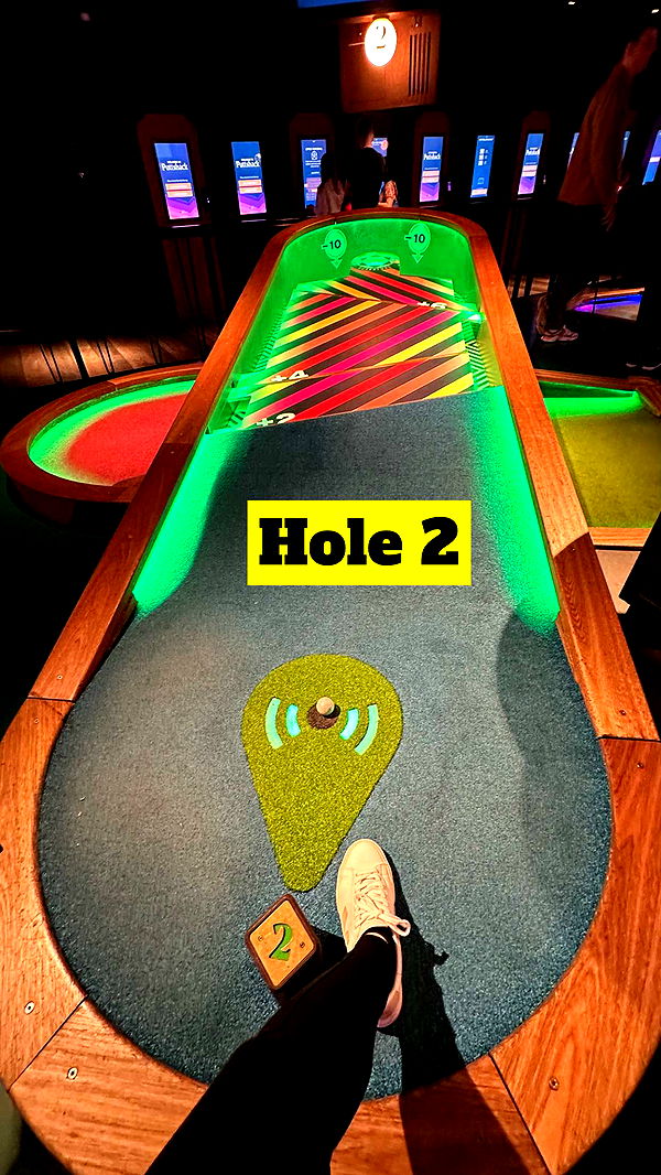 mira.0004 image ~ Altpins