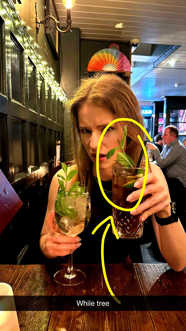 mira.0004 image ~ Altpins