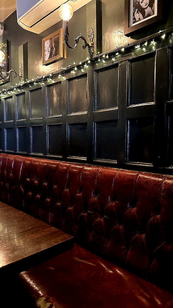 mira.0004 image ~ Altpins