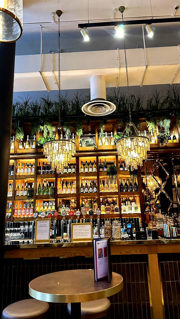 mira.0004 image ~ Altpins