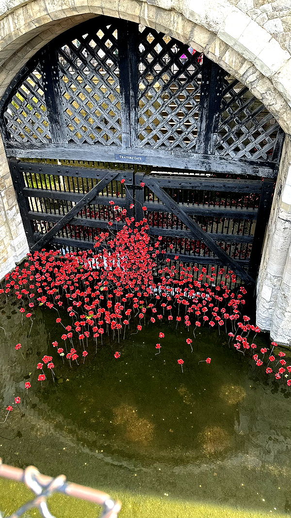 mira.0004 image ~ Altpins