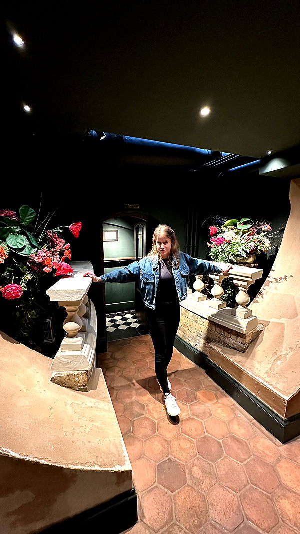 mira.0004 image ~ Altpins