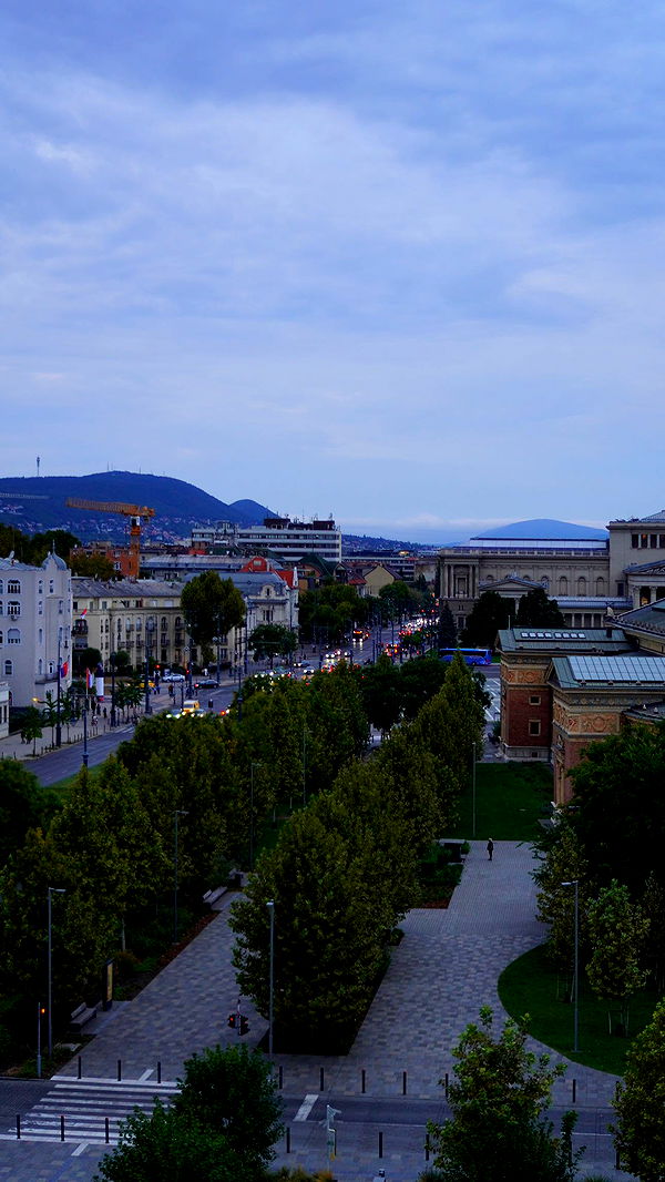 mira.0004 image ~ Altpins