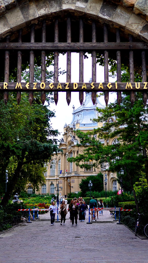 mira.0004 image ~ Altpins