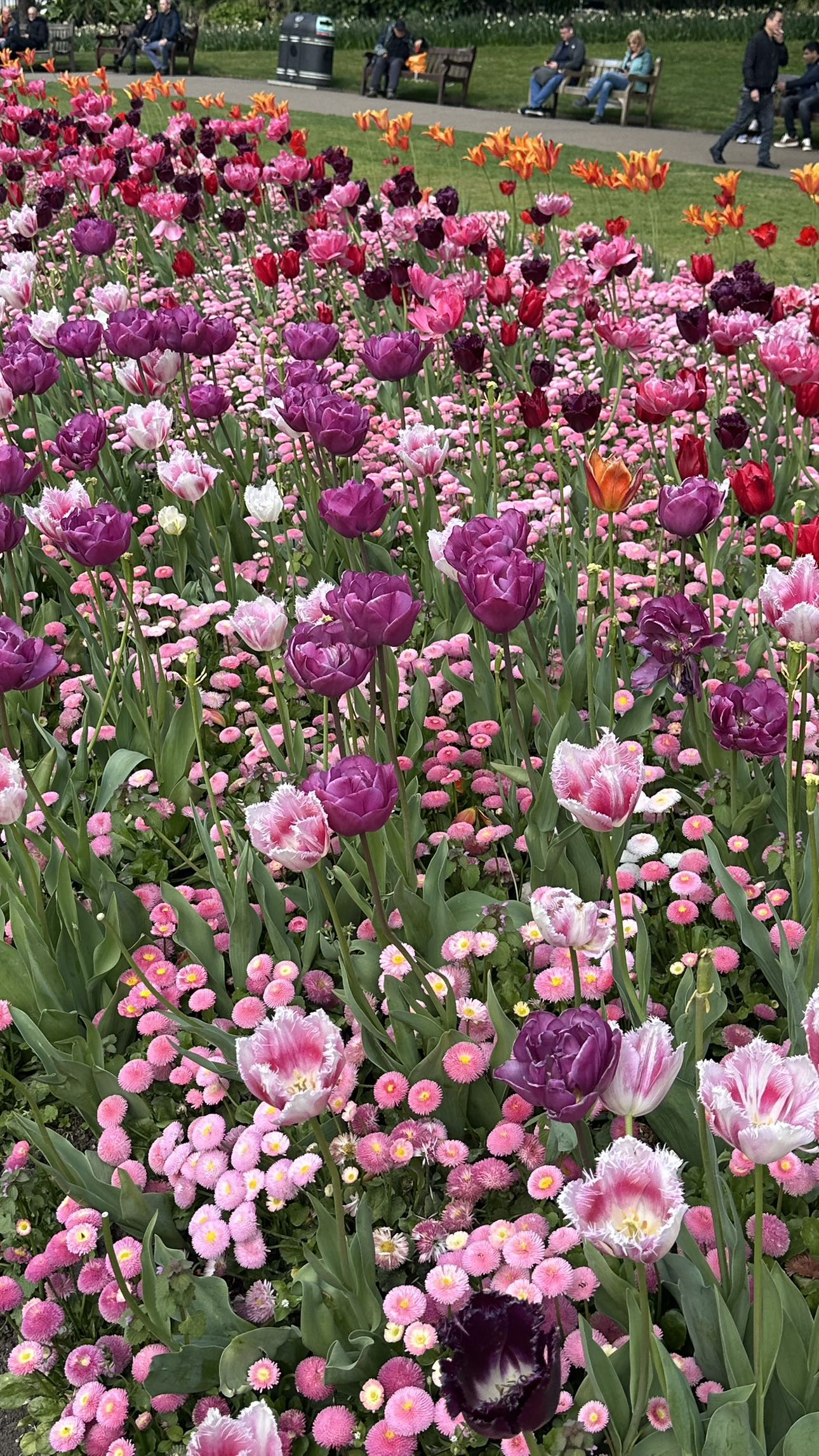 mira.0004 snapchat image archive image