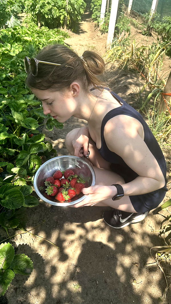 mira.0004 image ~ Altpins