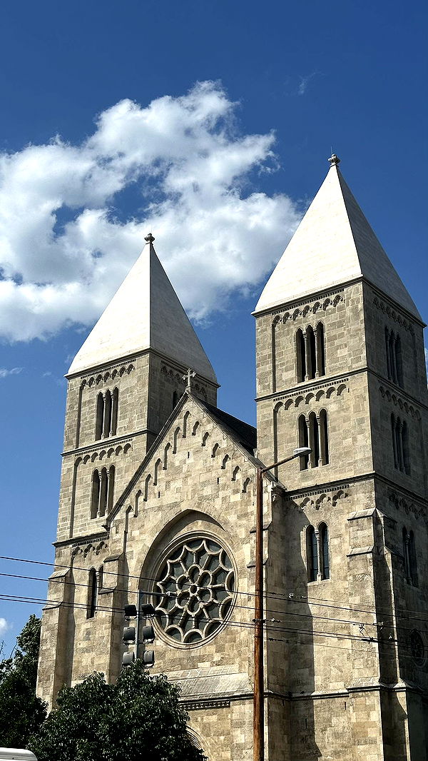 mira.0004 image ~ Altpins