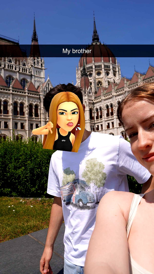 mira.0004 image ~ Altpins