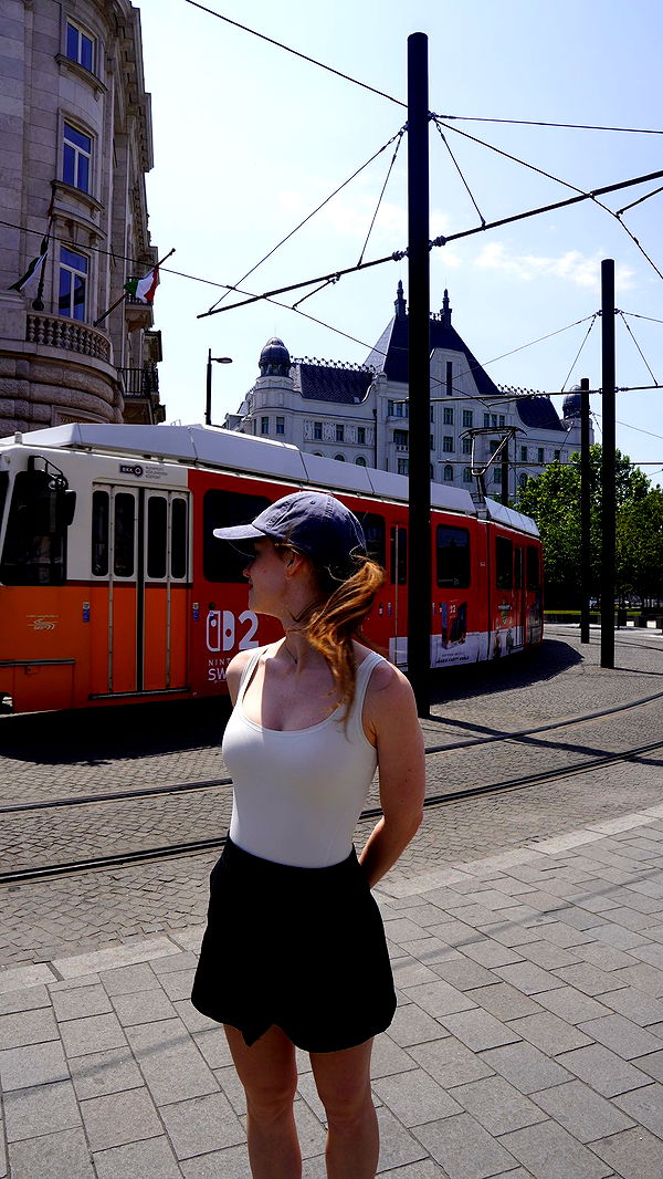 mira.0004 image ~ Altpins