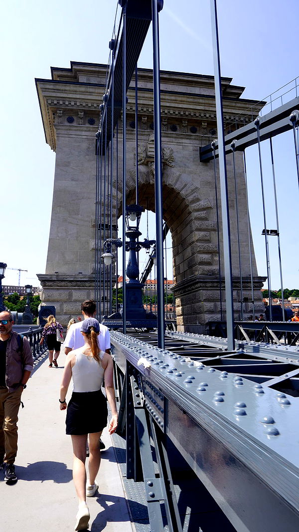 mira.0004 image ~ Altpins