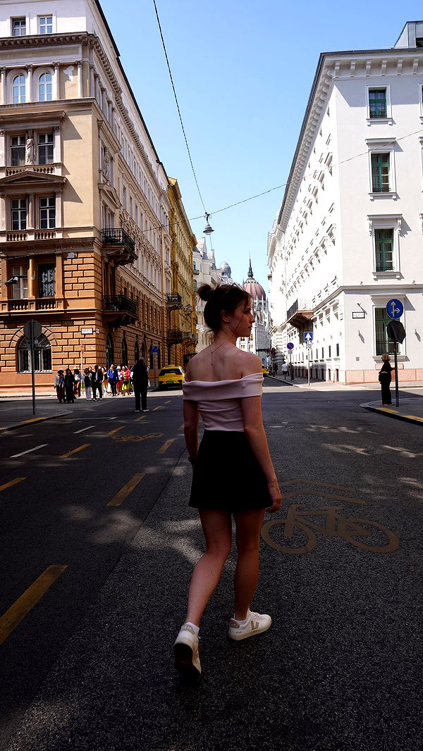 mira.0004 image ~ Altpins