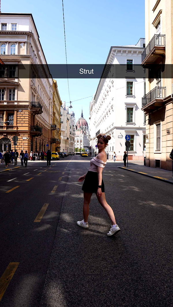 mira.0004 image ~ Altpins