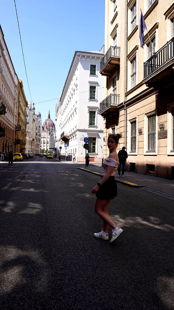 mira.0004 image ~ Altpins