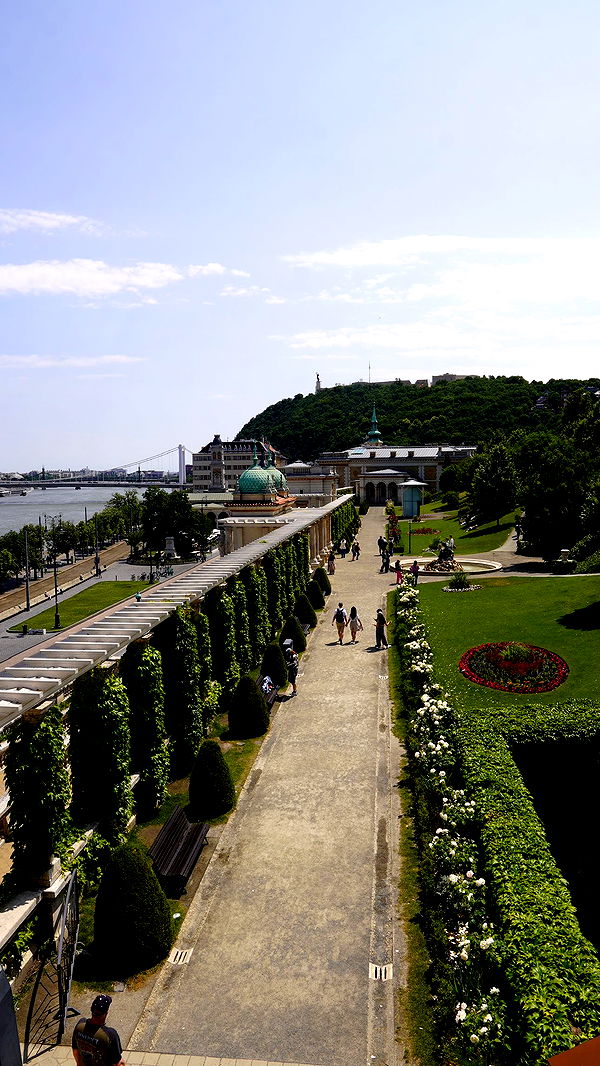 mira.0004 image ~ Altpins