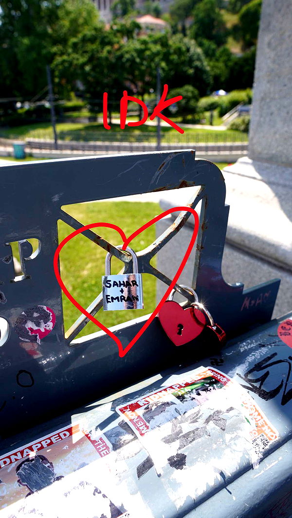 mira.0004 image ~ Altpins