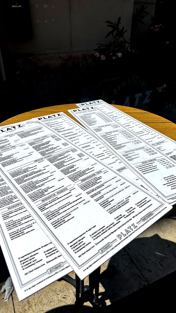 mira.0004 image ~ Altpins