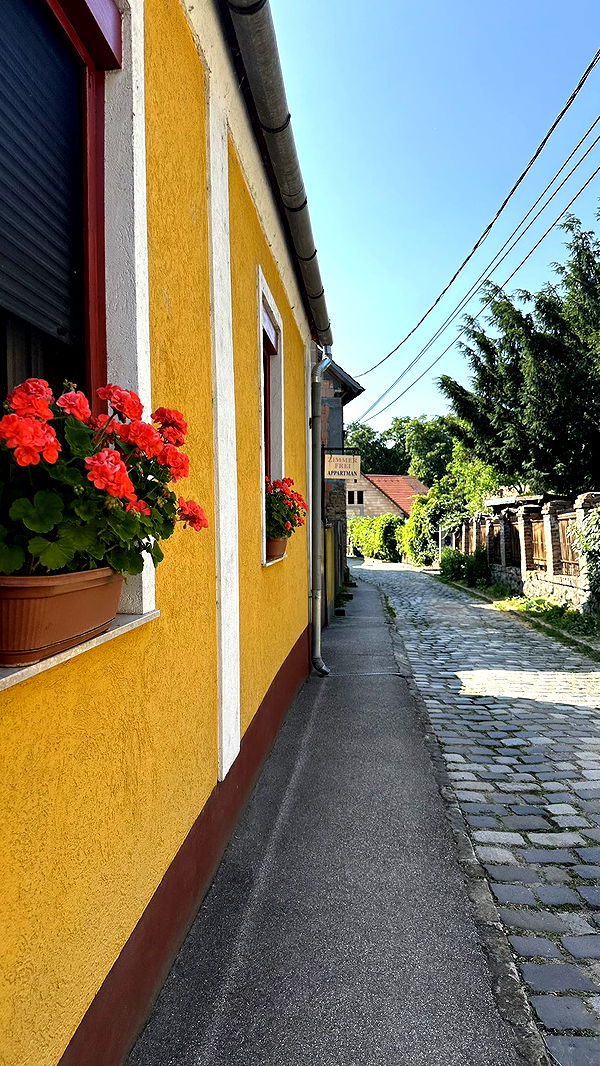 mira.0004 image ~ Altpins