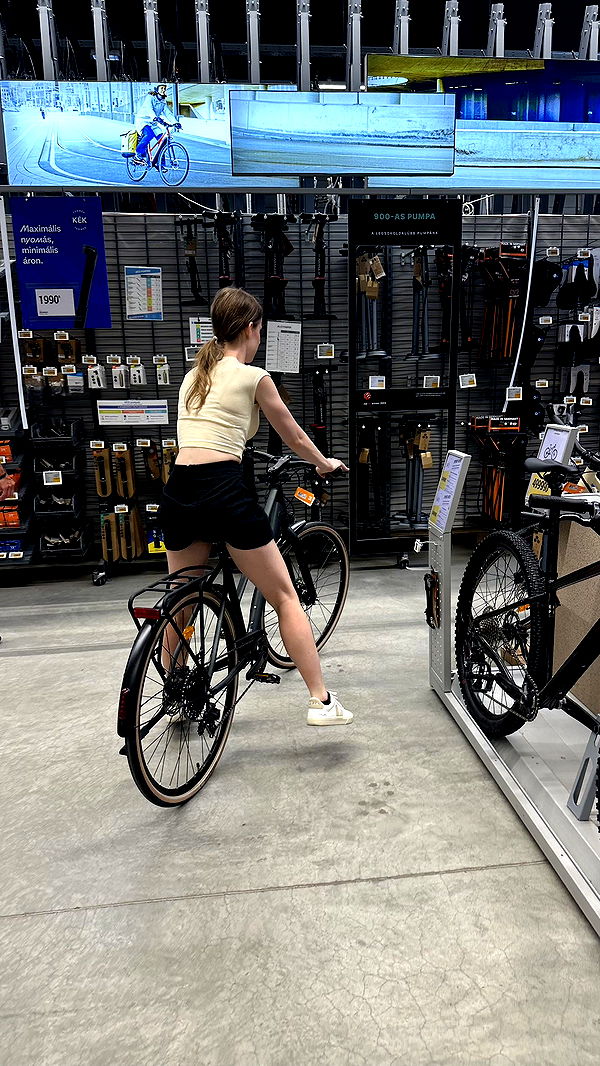 mira.0004 image ~ Altpins