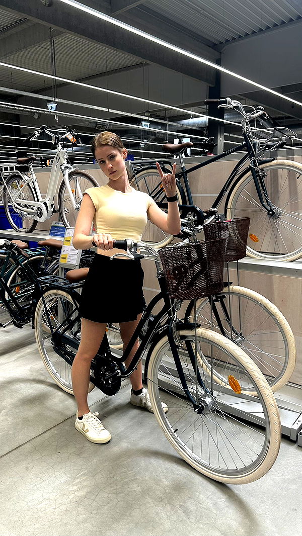 mira.0004 image ~ Altpins