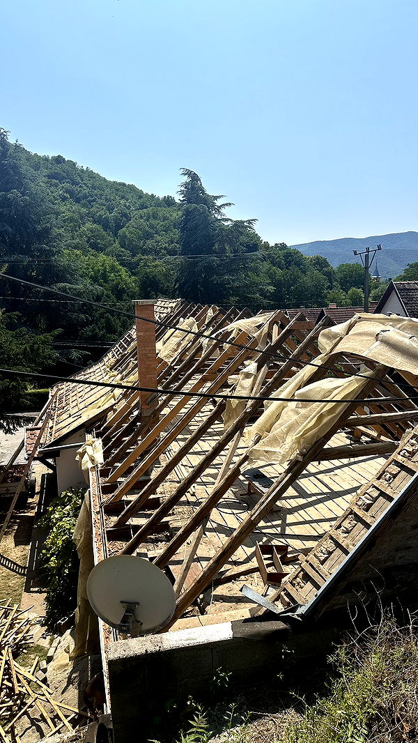 mira.0004 image ~ Altpins