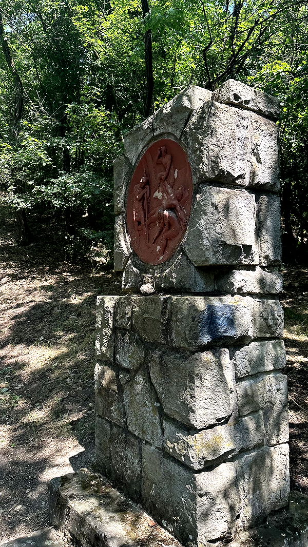 mira.0004 image ~ Altpins