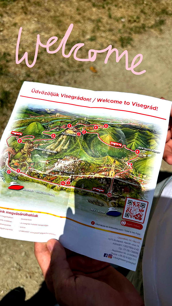 mira.0004 image ~ Altpins