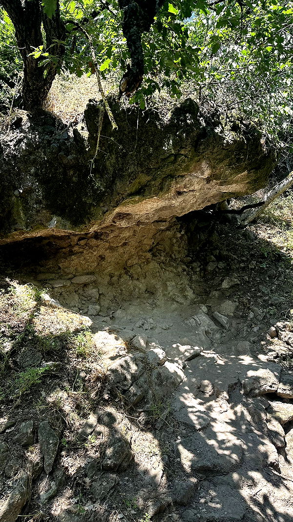 mira.0004 image ~ Altpins