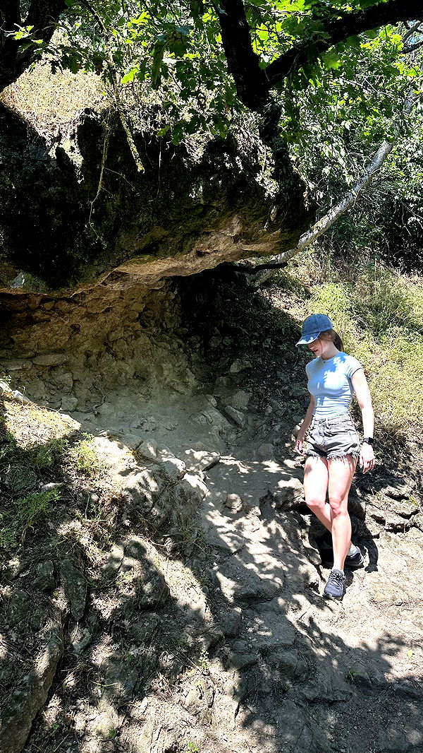 mira.0004 image ~ Altpins