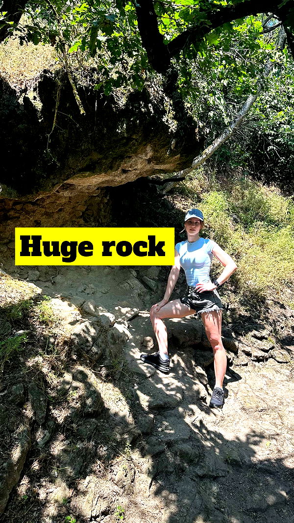 mira.0004 image ~ Altpins