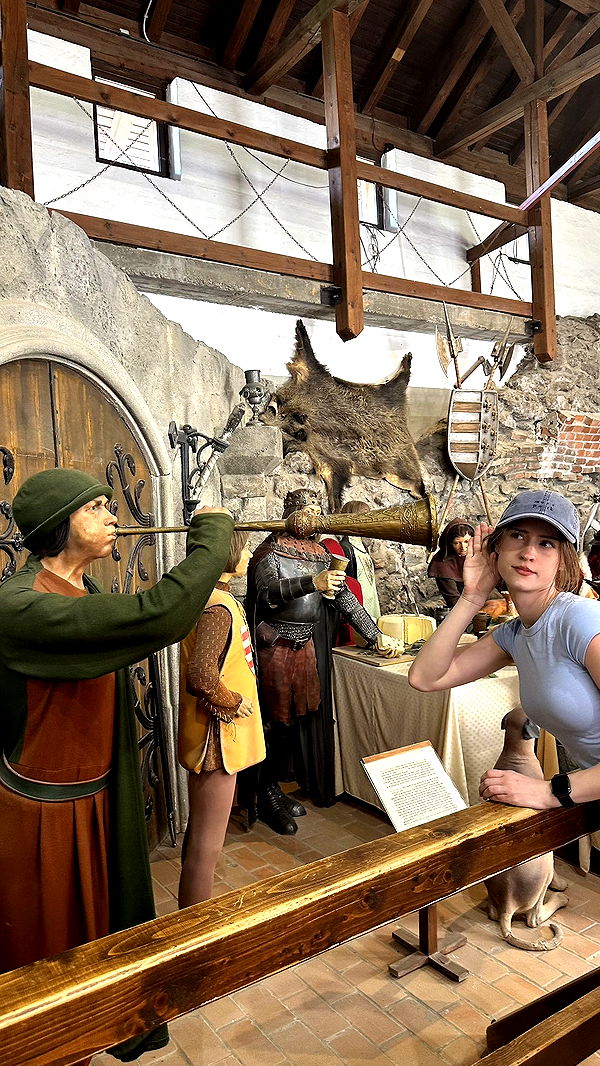 mira.0004 image ~ Altpins