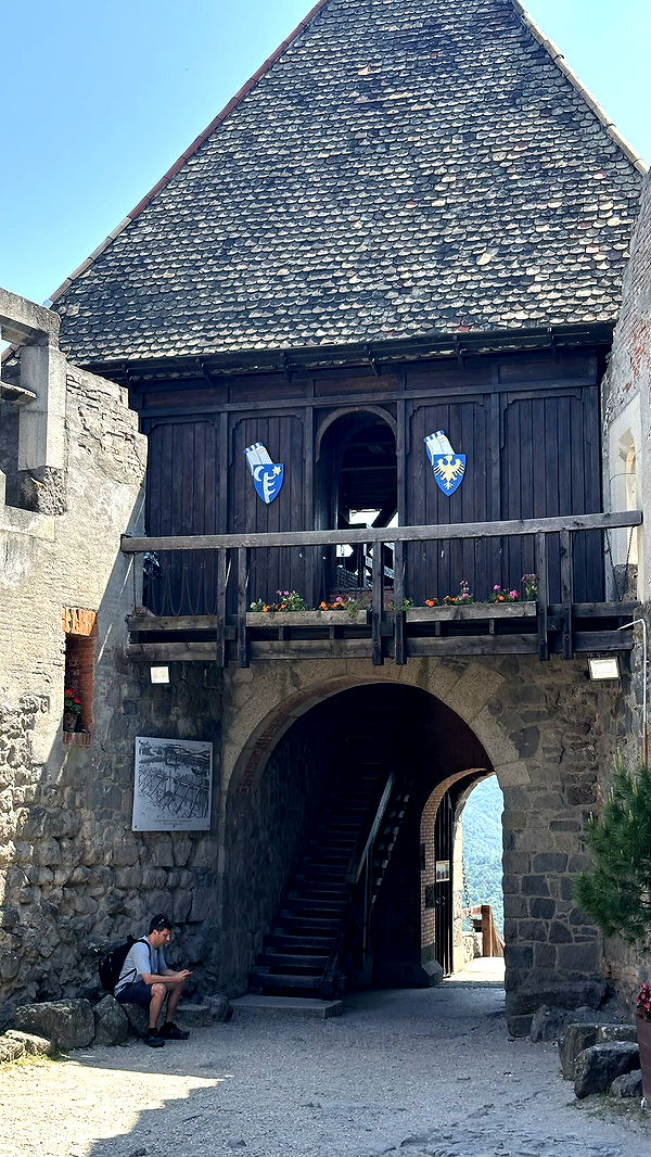 mira.0004 image ~ Altpins