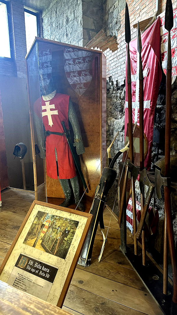 mira.0004 image ~ Altpins