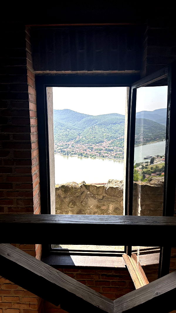 mira.0004 image ~ Altpins