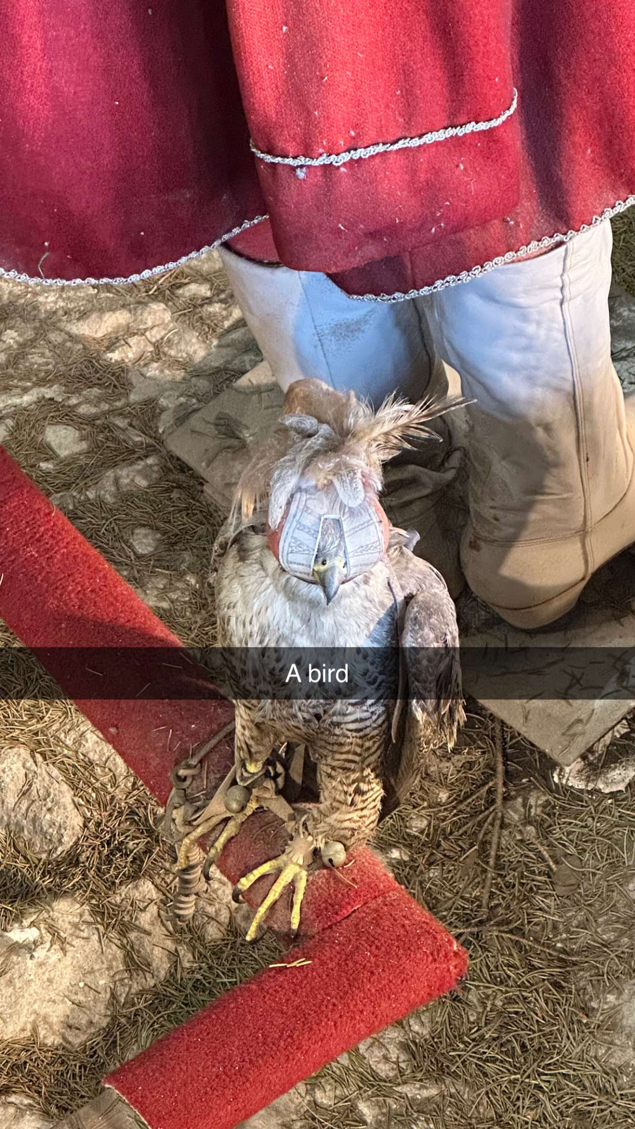 mira.0004 snapchat image archive image