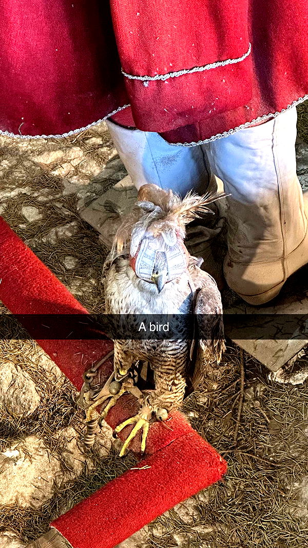 mira.0004 image ~ Altpins