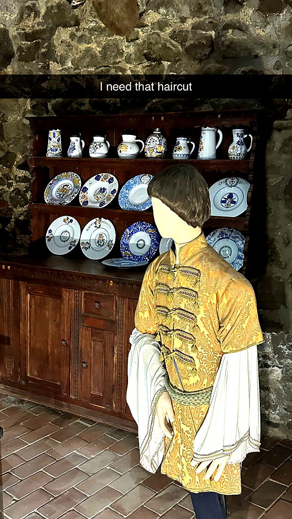 mira.0004 image ~ Altpins