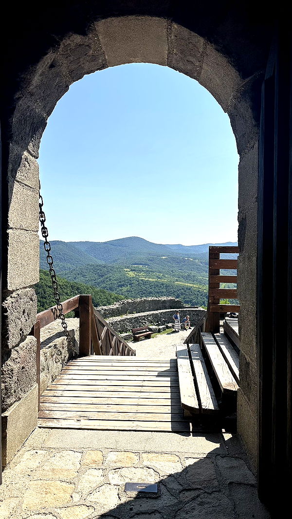 mira.0004 image ~ Altpins