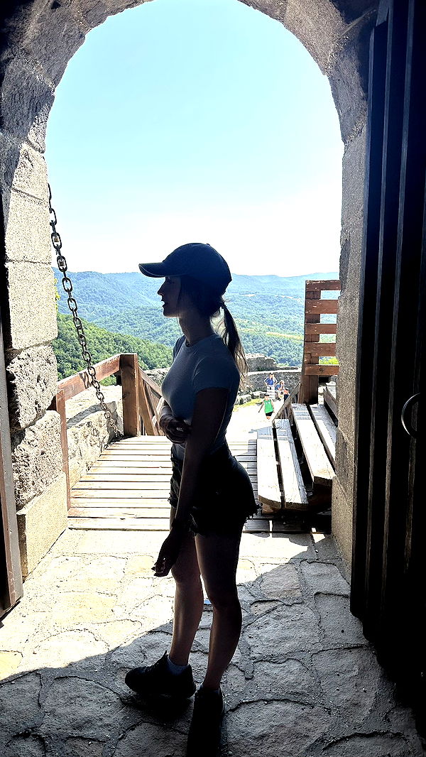 mira.0004 image ~ Altpins