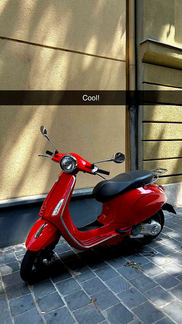 mira.0004 image ~ Altpins