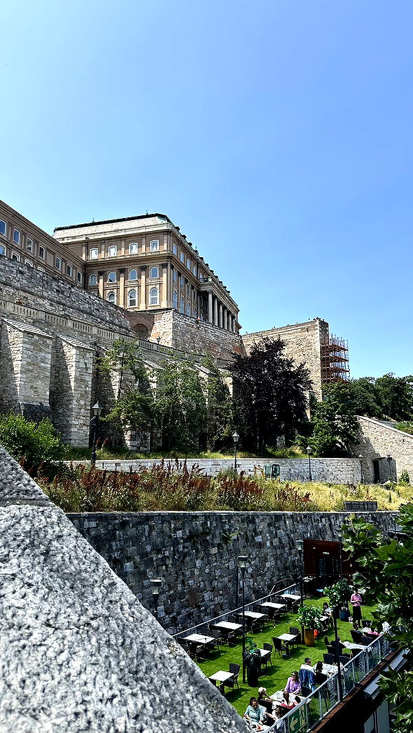 mira.0004 image ~ Altpins