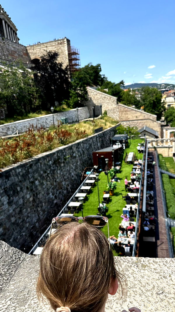 mira.0004 image ~ Altpins