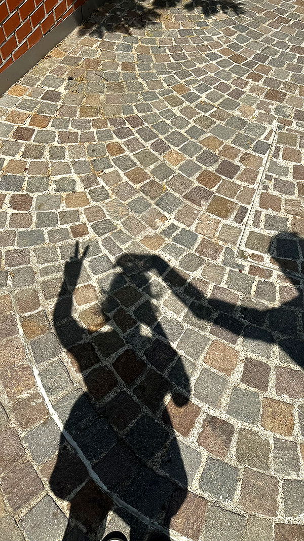 mira.0004 image ~ Altpins